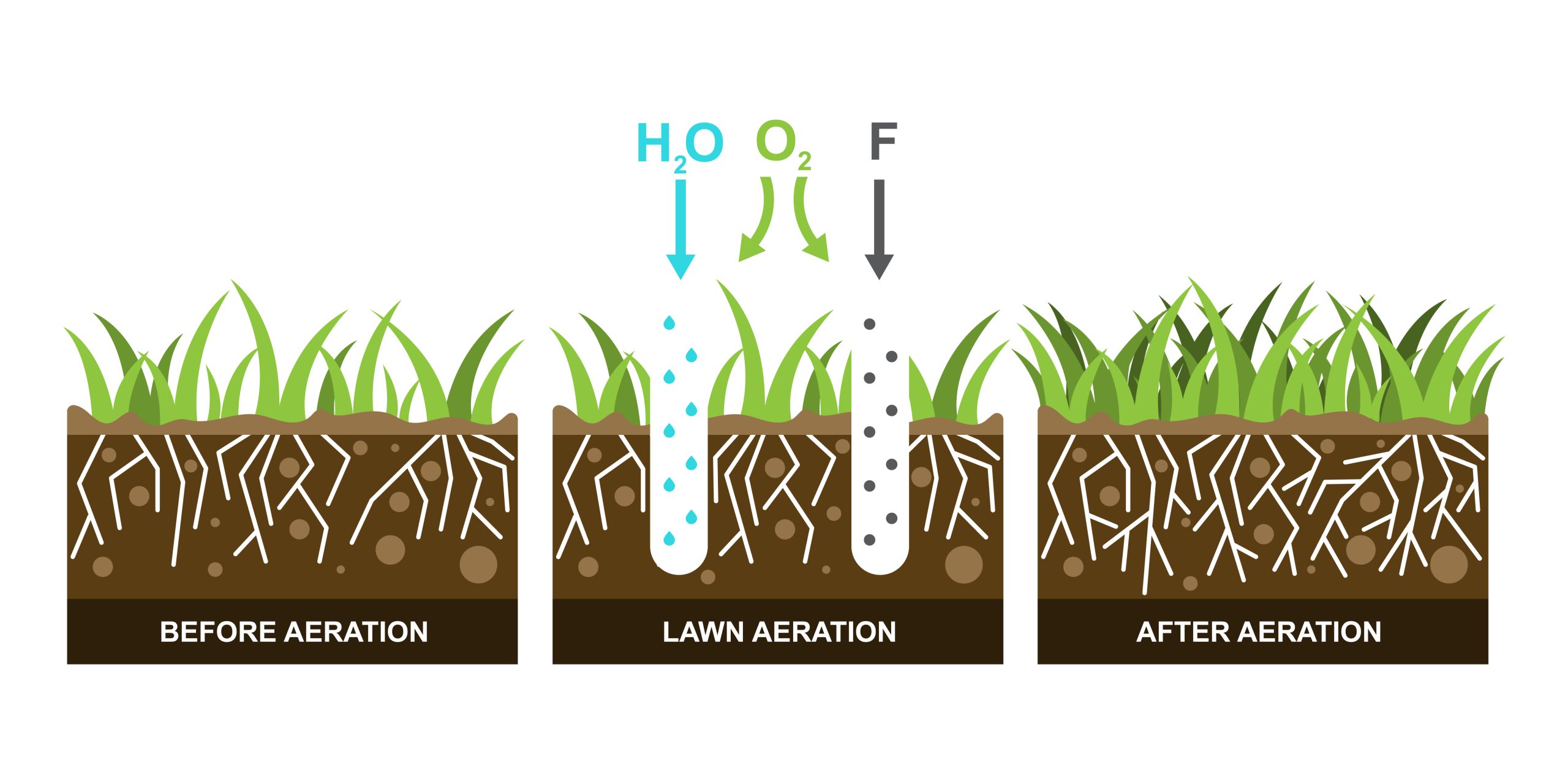 Diagram outlining the process and benefits of soil aeration by Royal Turf Care